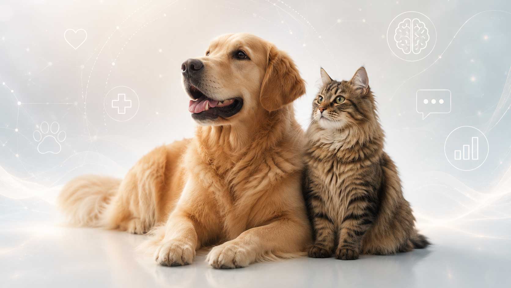AI nel Pet Care: dove crea valore davvero, oltre il chatbot