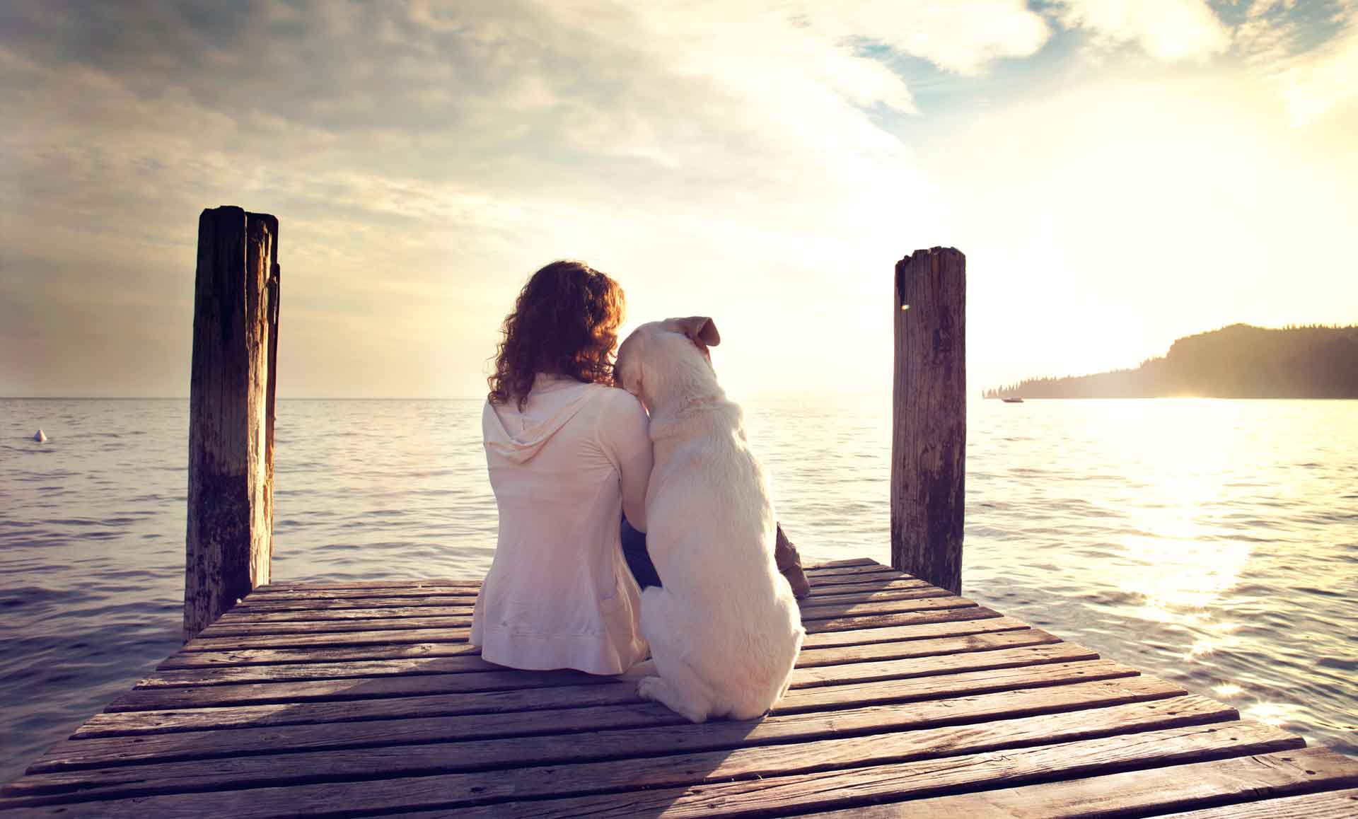 Pet communication agency